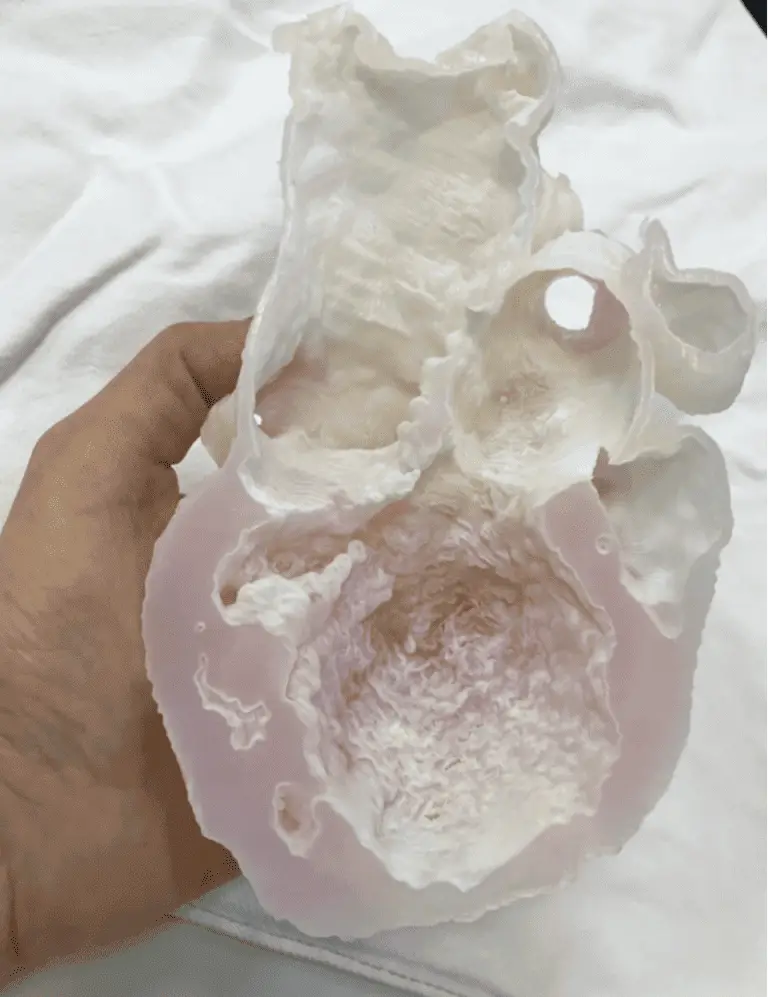 Coração impresso em 3D para estudo