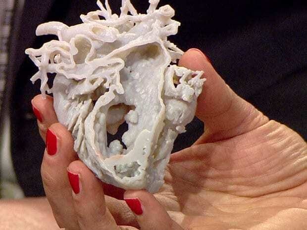 Protótipo de Coração impresso em impressora 3D sendo mostrado cortado no meio. Mão feminina segurando o protótipo. Continue lendo nosso post!!